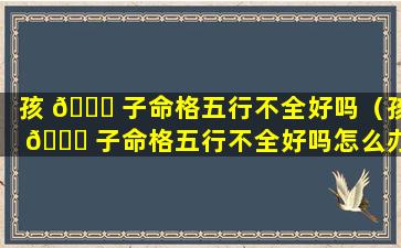 孩 🐞 子命格五行不全好吗（孩 🐎 子命格五行不全好吗怎么办）